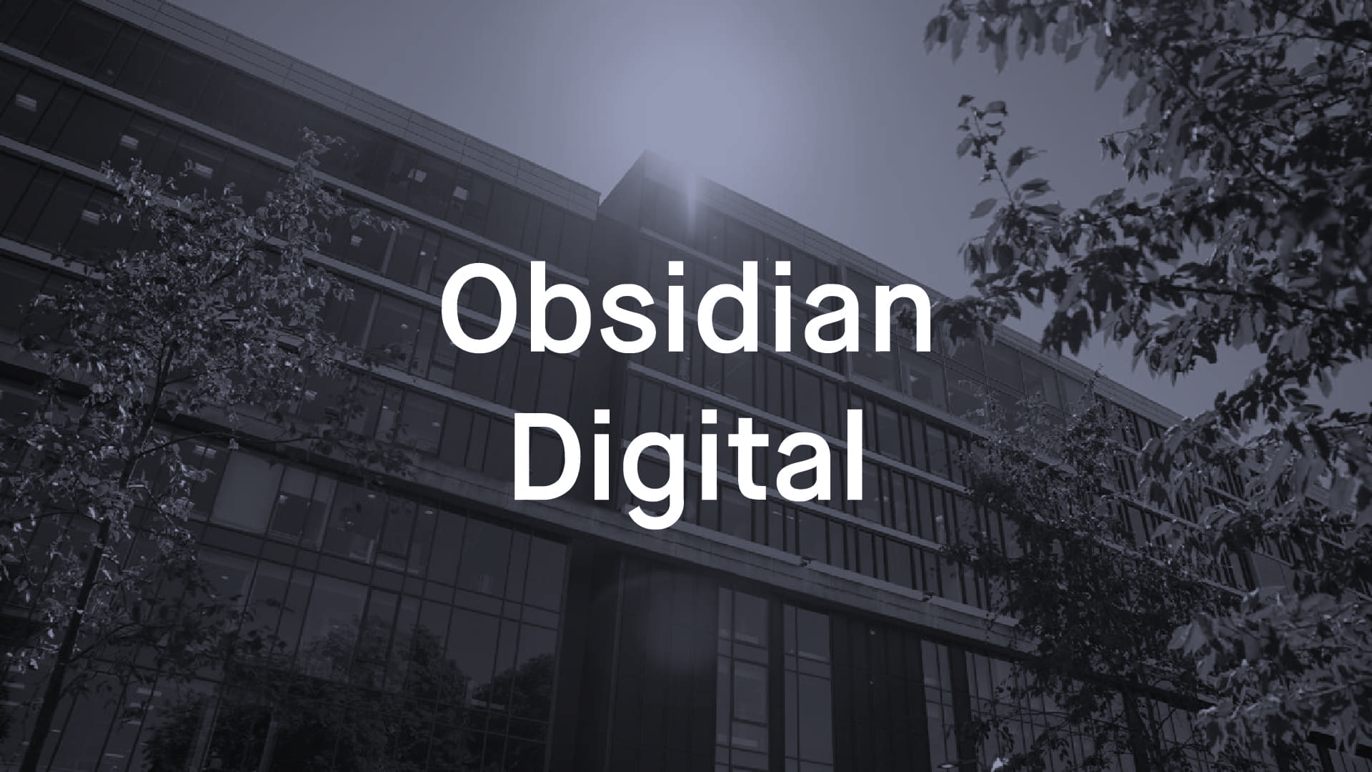 A photo of Obsidian Digital's office